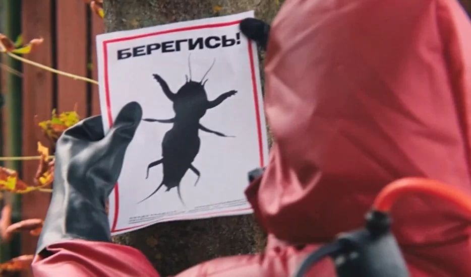   (2021)