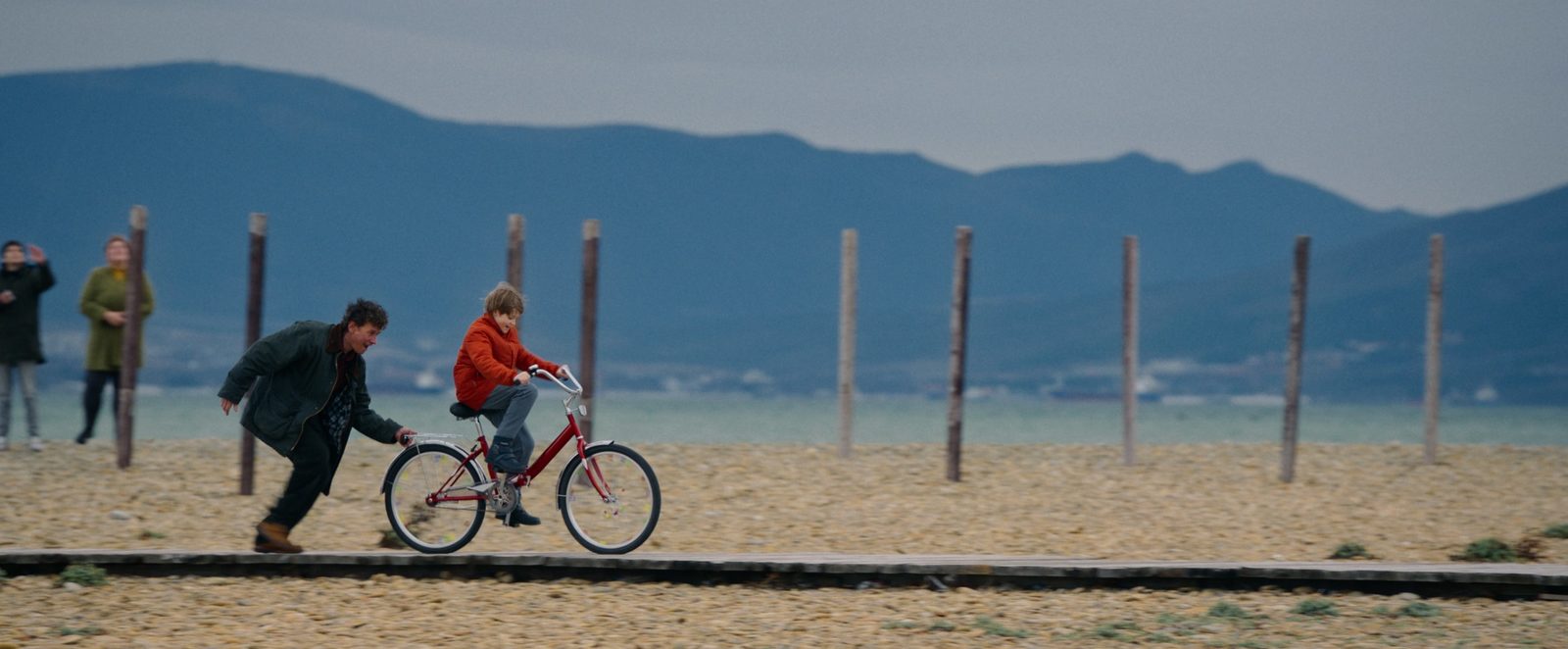  (2024)