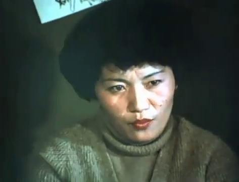    (1981)