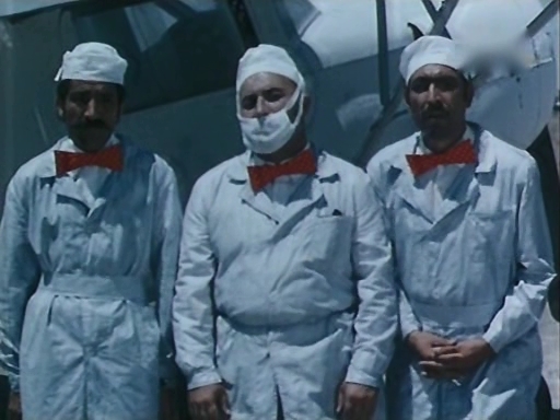    (1976)