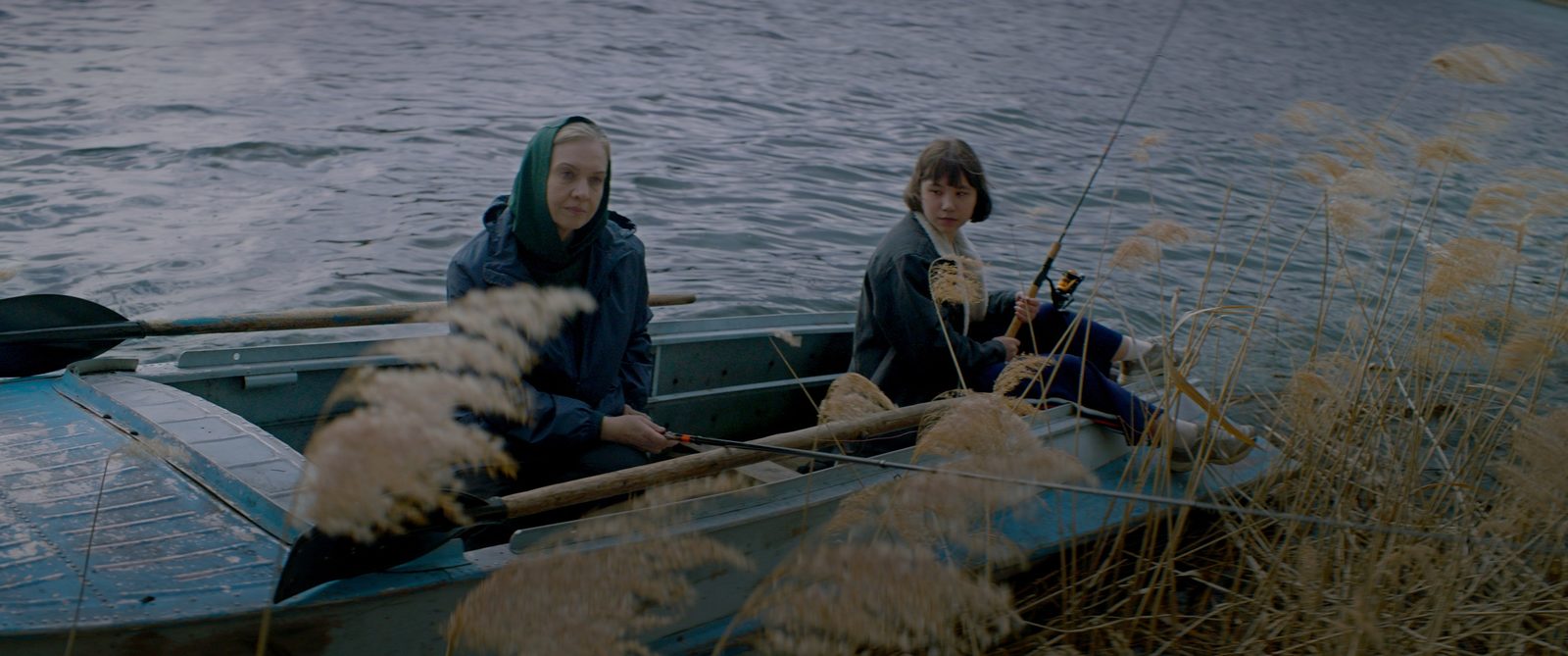   (2023)