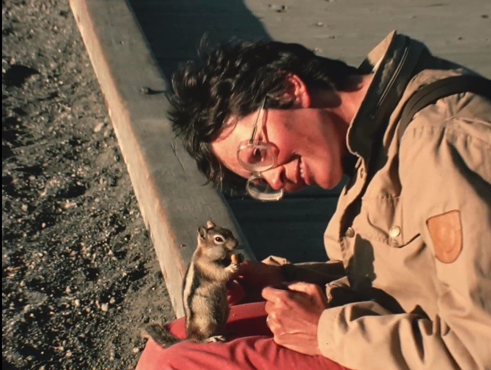   (2022)