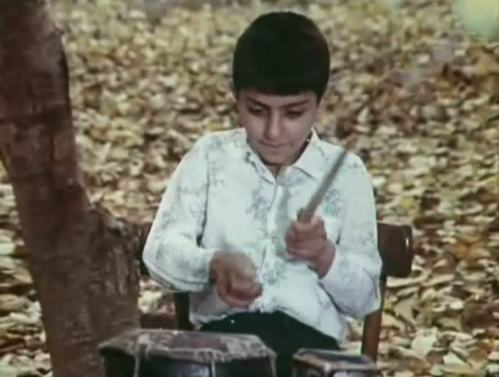    (1979)