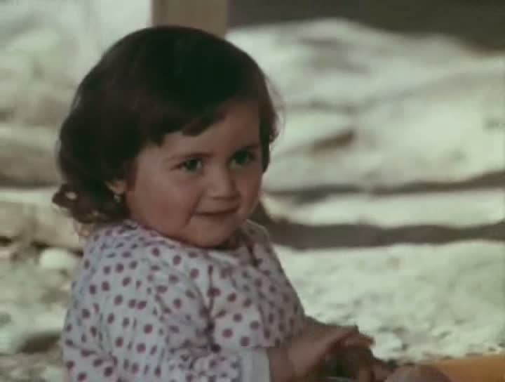    (1979)