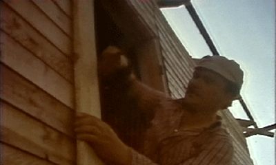  (1978)