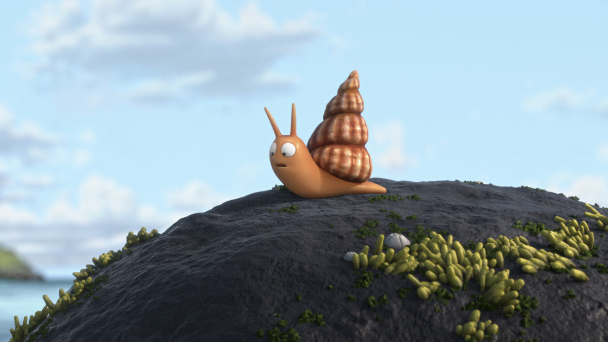    (2019)
