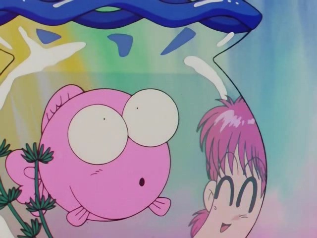!  ! (1991-1992)