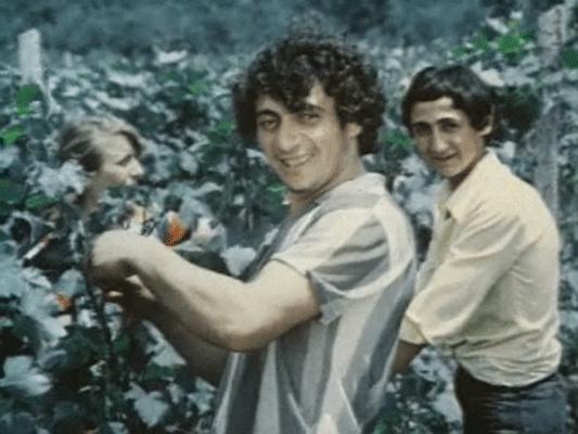     (1980)