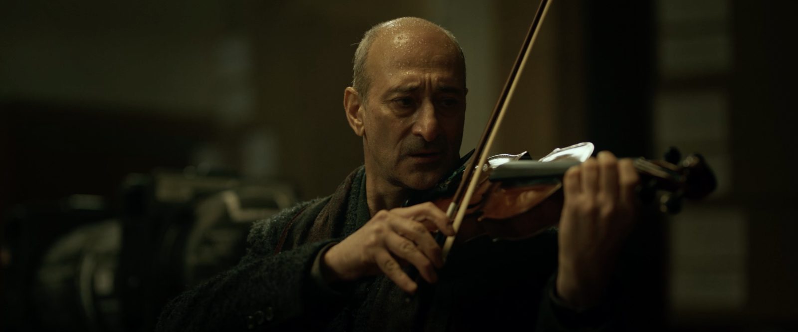  (2023)