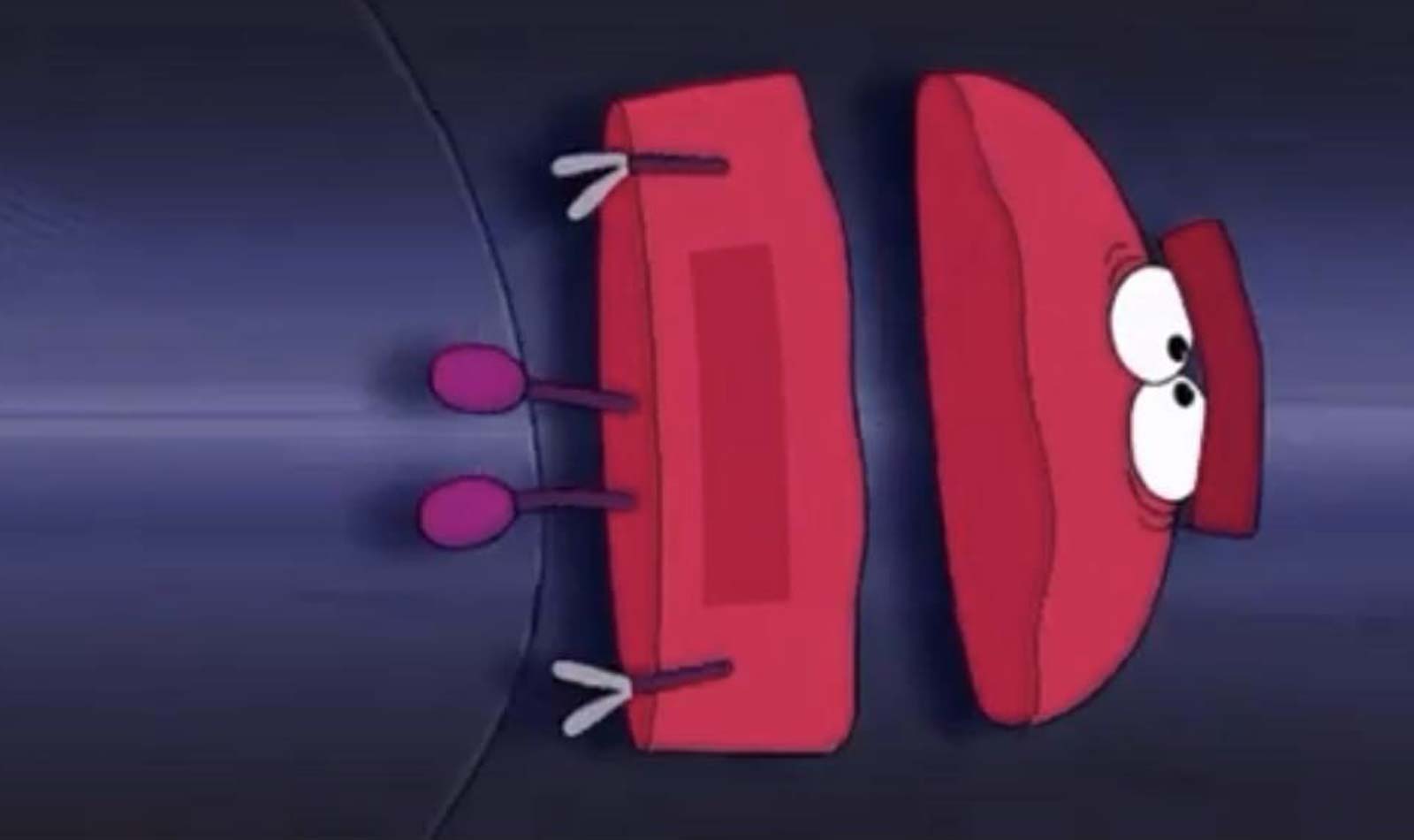   (2022-2023)