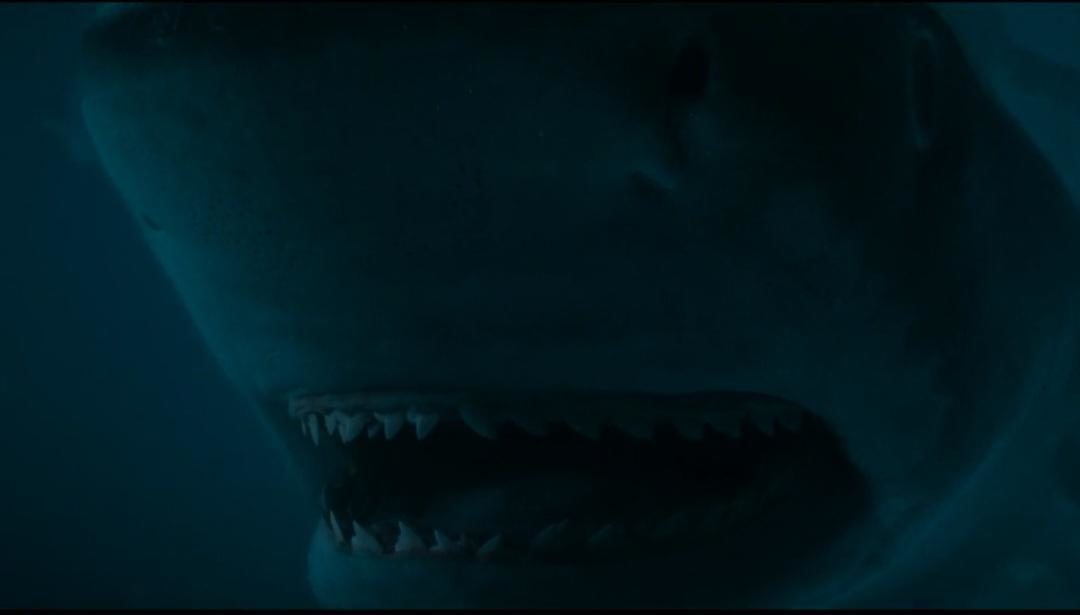   (2023)