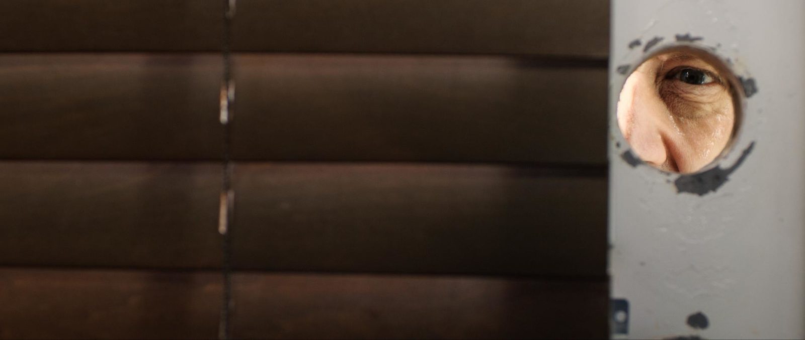    (2019)