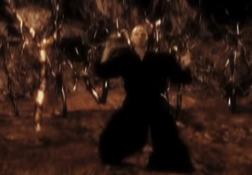   1.0 (2004)