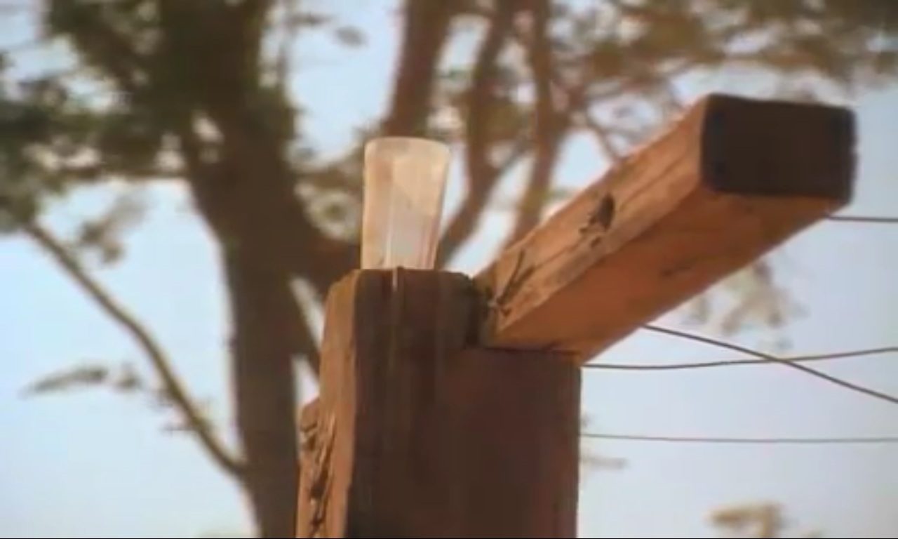   (1993)