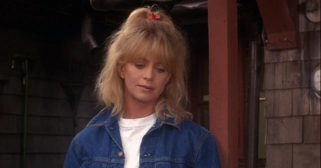   (1987)