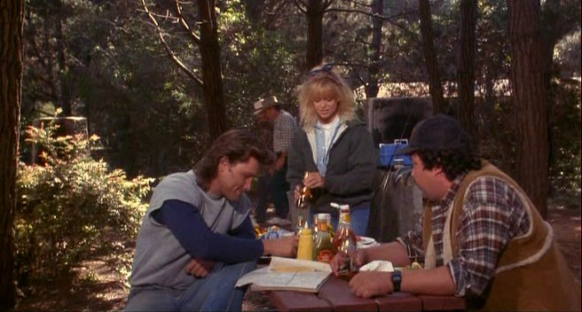   (1987)