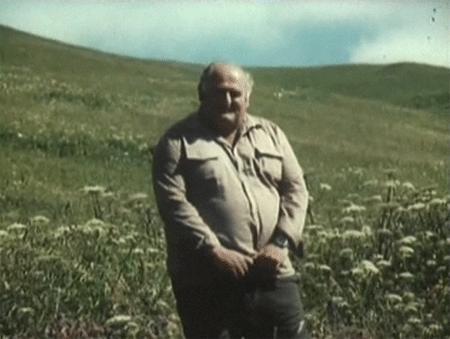     (1985)