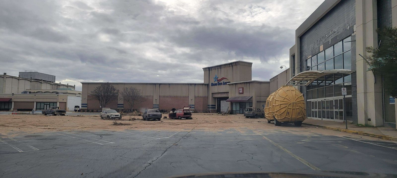   (2025)