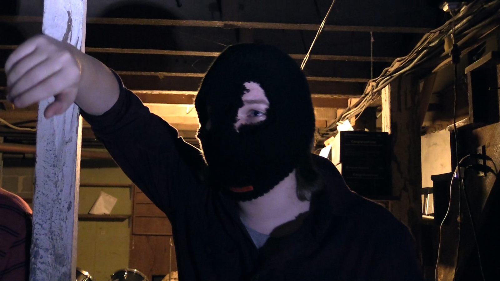    (2017)