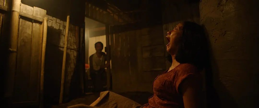 .   (2019)
