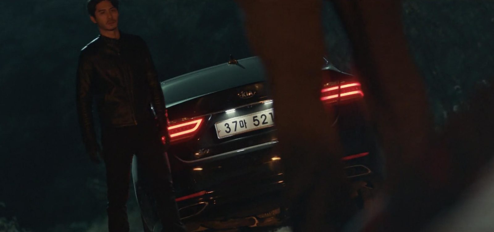  (2017)
