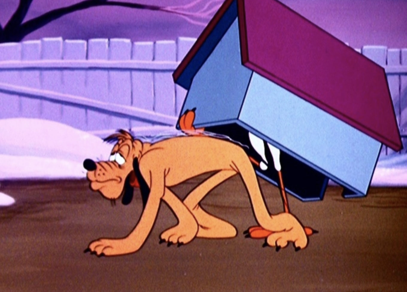  (1951)
