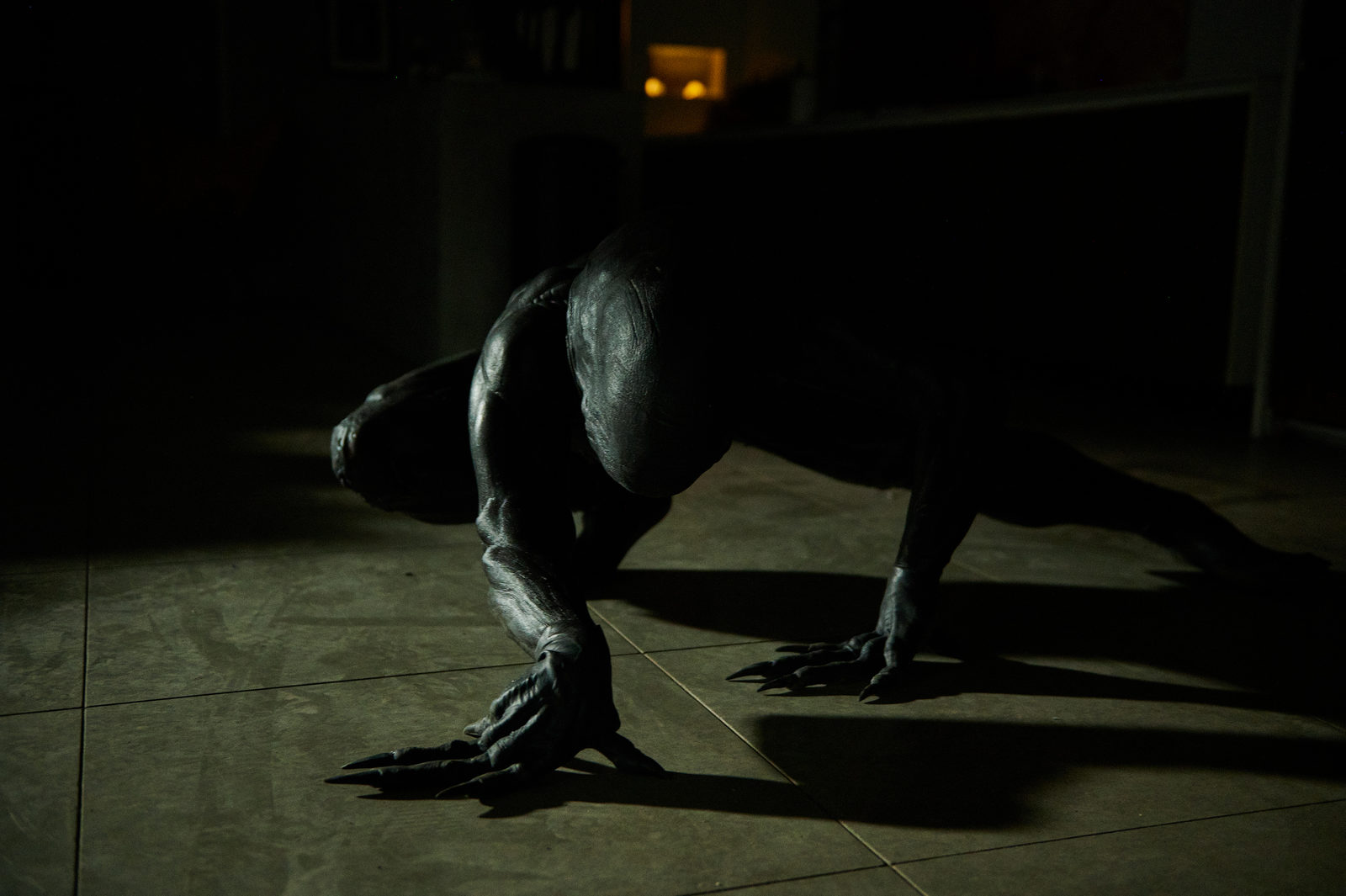 .   (2024)