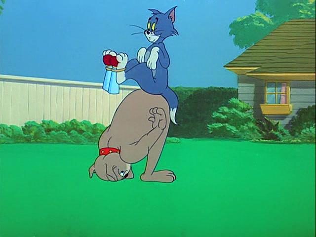,     (1954)