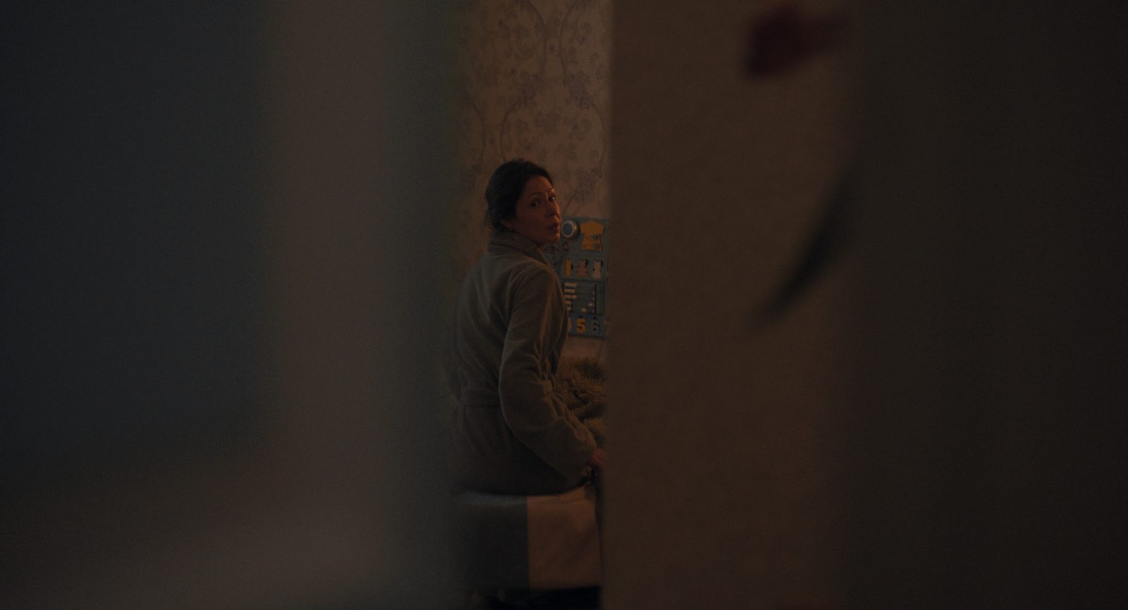   (2024)