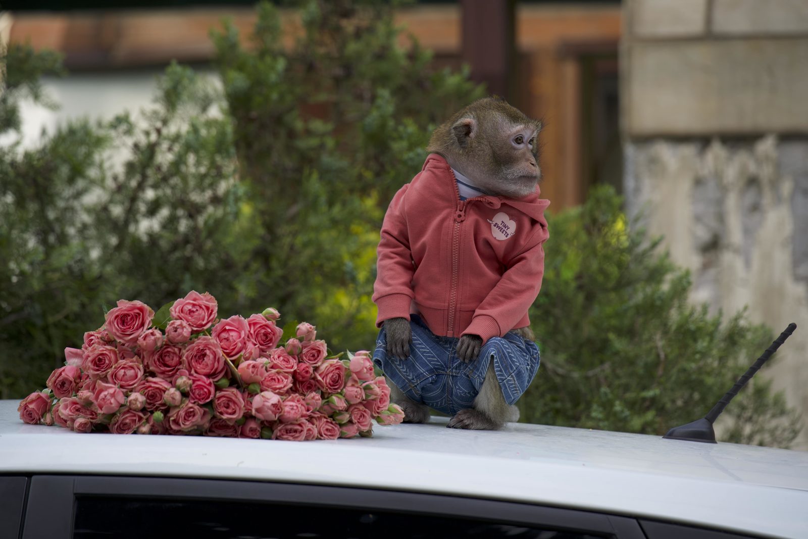    (2024)