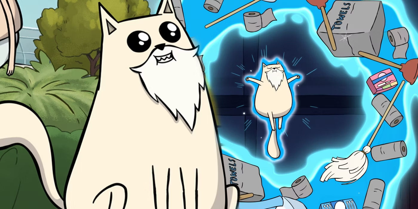   (2024)