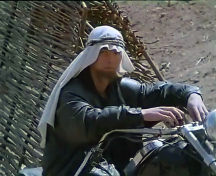   (1993)