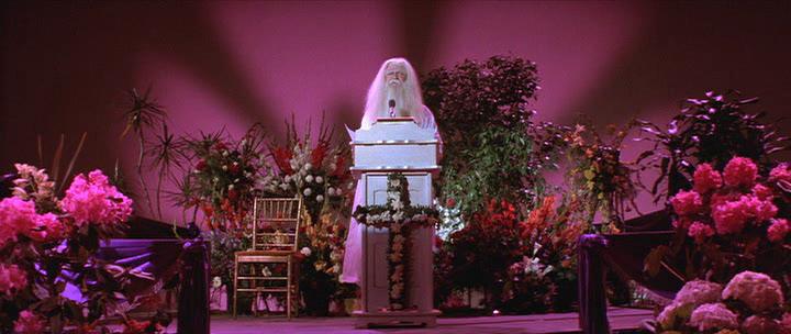   (1981)