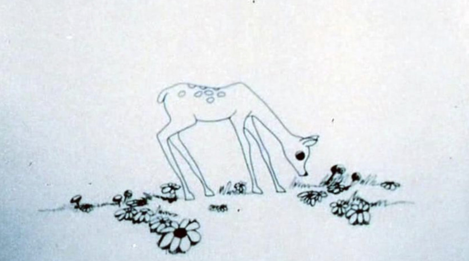    (1969)