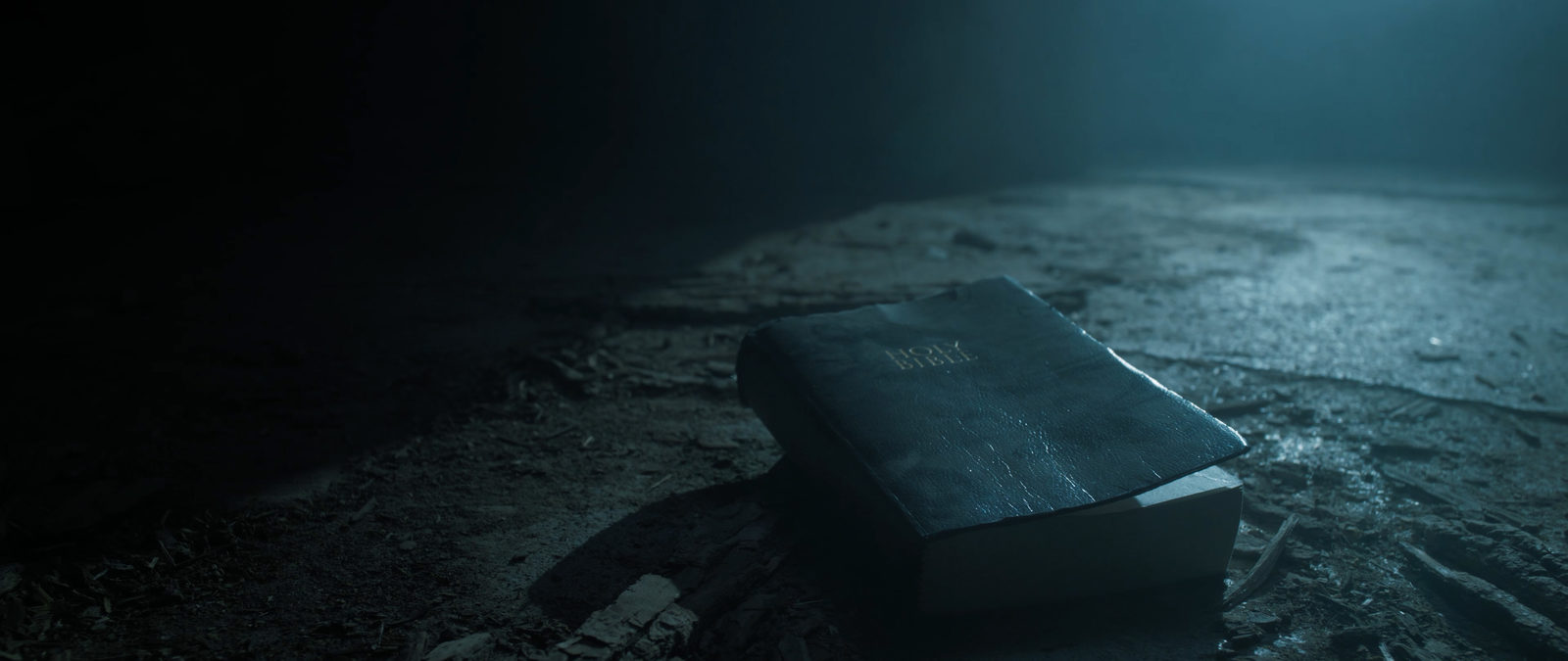     (2024)