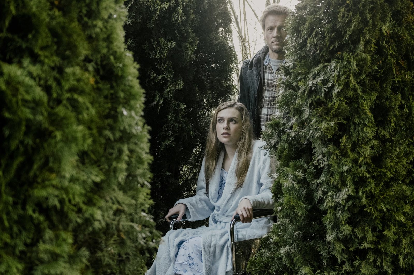   (2019)