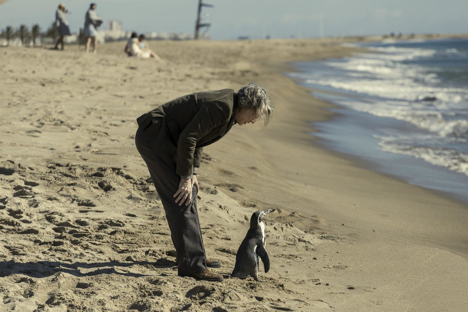    (2024)