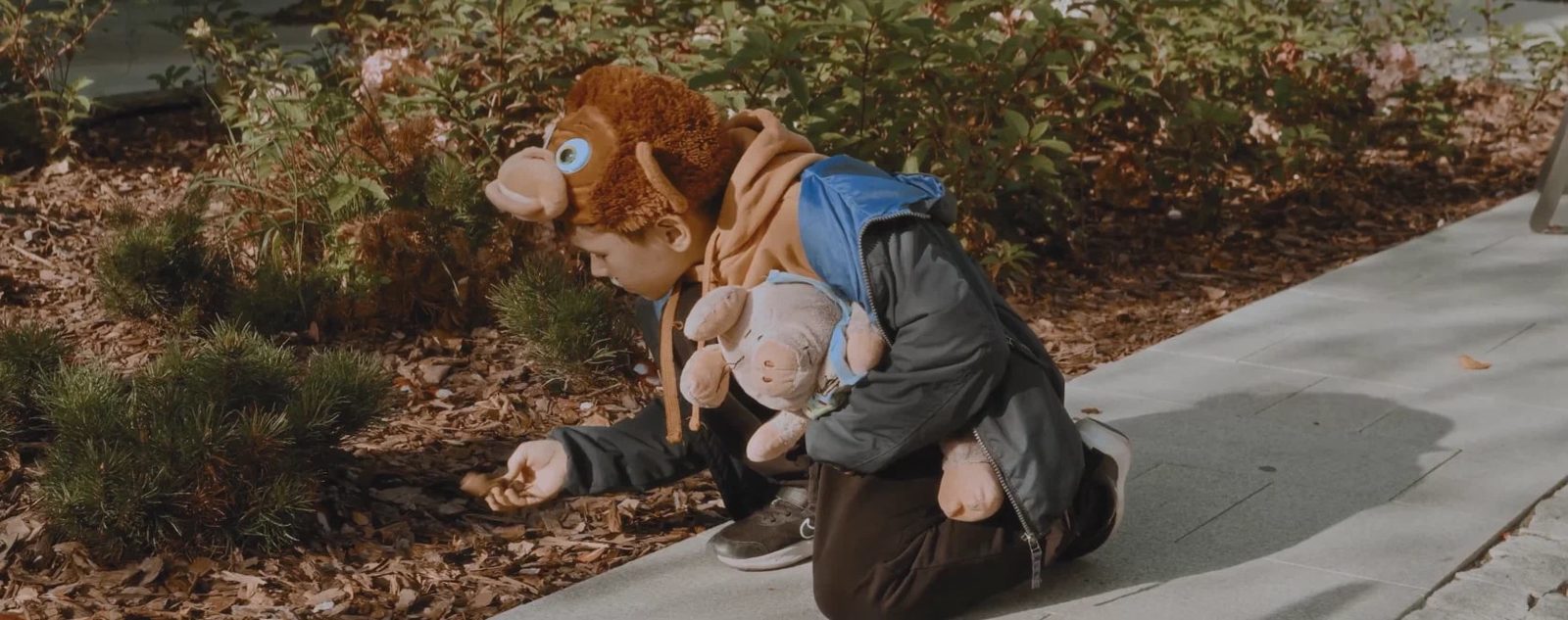  (2024)