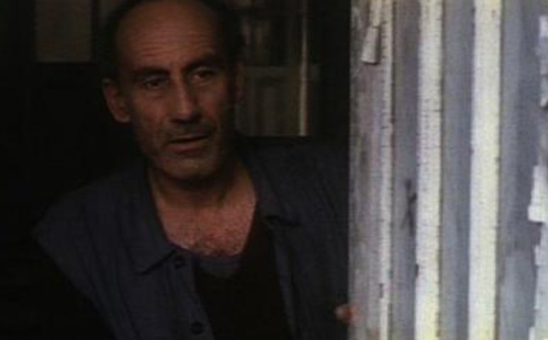   (1991)