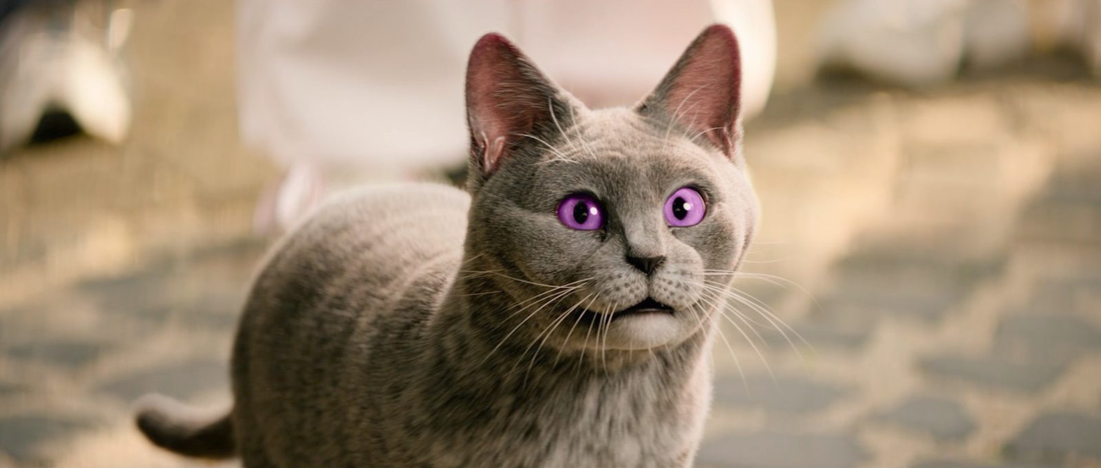   .    (2024)