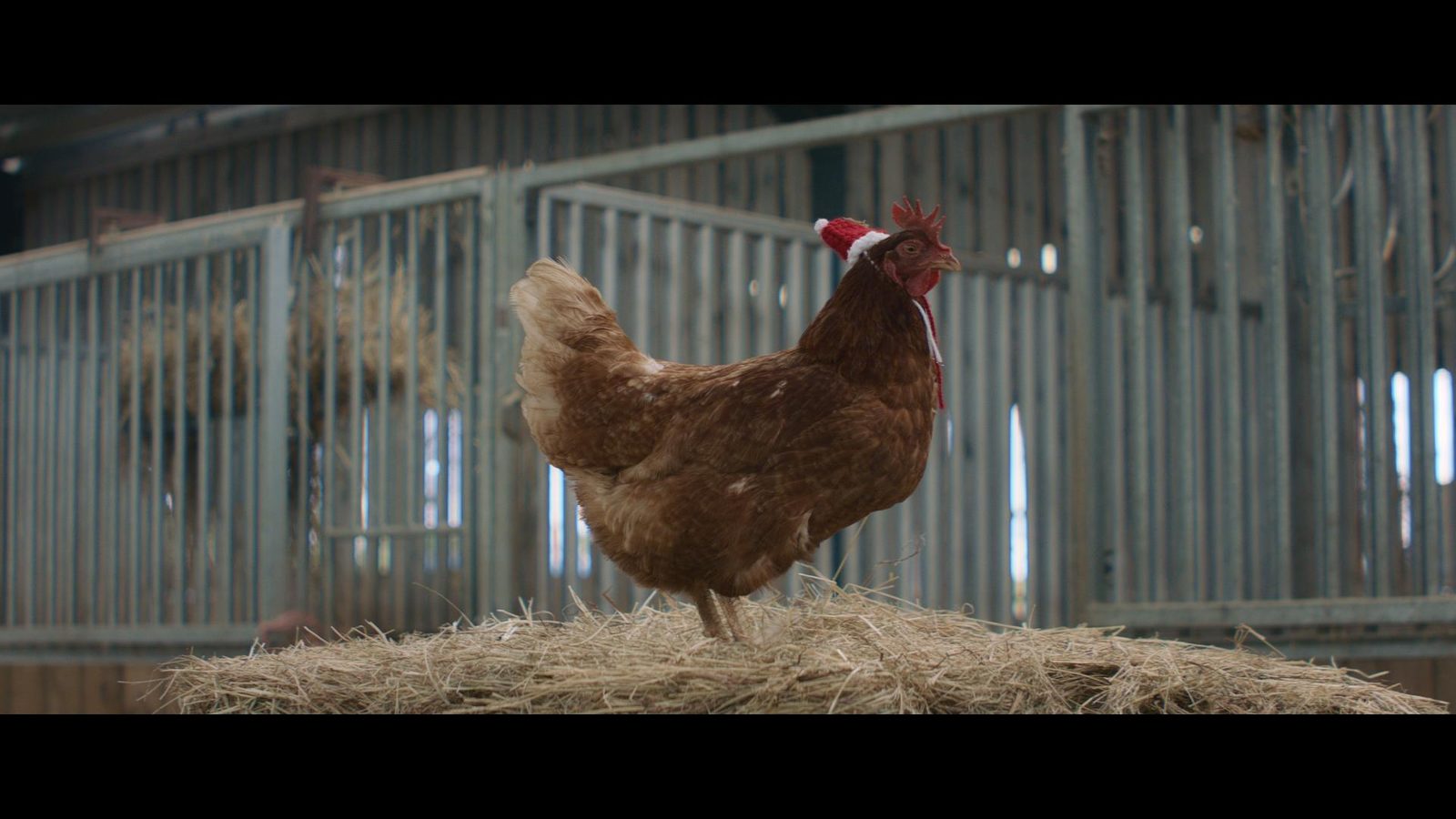   (2024)