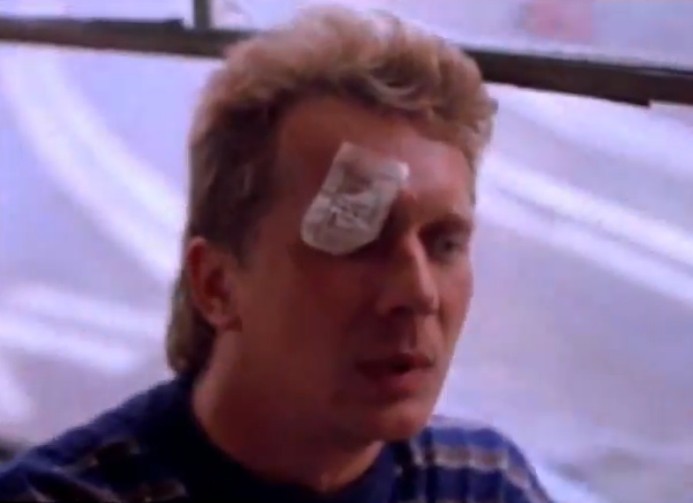    (1991)