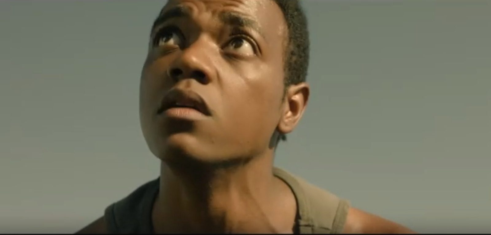 40 акров (2024)
