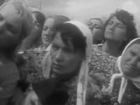     (1971)