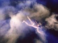     (1988) -  2