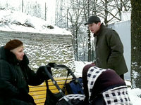  -6 (2005)
