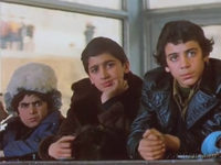    () (1981)