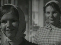   (1963-1965)