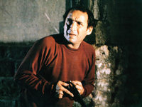 ׸    (1980) 
