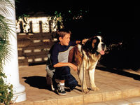  3 (2000) 

